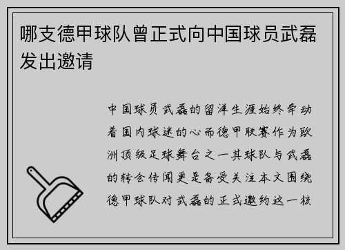 哪支德甲球队曾正式向中国球员武磊发出邀请